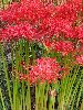 P9238651_l.JPG