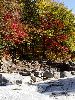DSC00019_l.JPG