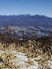 DSC0050_l.JPG