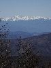 DSC0056_l.JPG