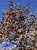DSC0015_l.JPG
