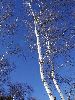 DSC0088_l.JPG
