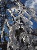 P3039900_l.JPG