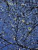 DSC0013_l.JPG