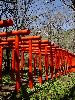 DSC0017_l.JPG