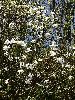 DSC0027_l.JPG