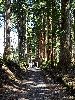 DSC0061_l.JPG