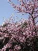 DSC0074_l.JPG