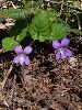 P5030492_l.JPG