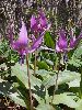 P5030506_l.JPG