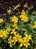 P5030543_l.JPG