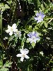 P5030546_l.JPG