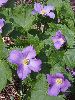 P5030556_l.JPG