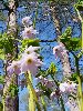 P5030570_l.JPG