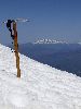 DSC0055_l.JPG