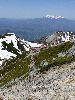 DSC0075_l.JPG