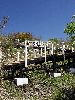 DSC0003_l.JPG