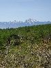 DSC0006_2_l.JPG