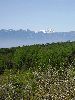 DSC0006_l.JPG