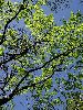 DSC0017_l.JPG