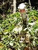 DSC0020_l.JPG