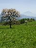 DSC0031_l.JPG