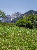 DSC0037_l.JPG