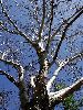 DSC0040_l.JPG