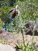 P5110619_l.JPG