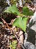 P5110621_l.JPG