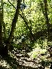 DSC0003_l.JPG