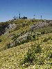 DSC0019_l.JPG