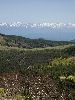 DSC0034_l.JPG