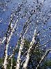 DSC0071_l.JPG