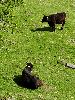 DSC0086_l.JPG