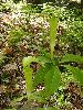 P5180636_l.JPG