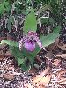 DSCF7540_l.JPG