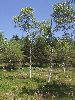 DSCF7544_l.JPG