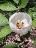 P5250677_l.JPG