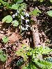 P5250715_l.JPG