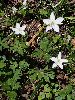 P5250718_l.JPG