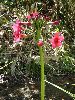 P5250746_l.JPG