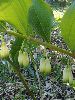 P5250747_l.JPG