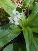 P5250757_l.JPG