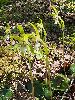 P5250761_l.JPG