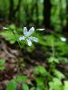 DSC00045_l.JPG