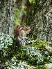 DSC0006_l.JPG