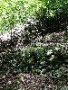DSC0016_l.JPG