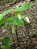 P6010775_l.JPG