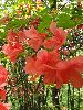 P6010787_l.JPG